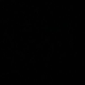 Meet your Posher, Jeremiah